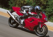 Triumph Daytona 955i Triumph Daytona 955i